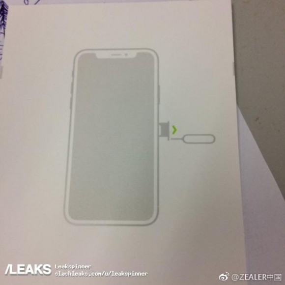 crop-php-e1501292056889.jpg